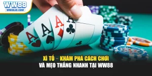 Xì Tố – Khám Phá Cách Chơi Và Mẹo Thắng Nhanh Tại WW88